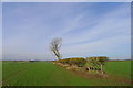 The Leicestershire Round heading north towards Frisby on the Wreake in Frisby on the Wreake