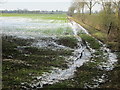 Path across a snowy field towards Langley in CB11 4UX