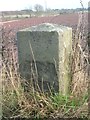 Old Milestone by the A933, Wealthieston, Farnell parish in DD9 6TS