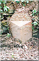 Old Milestone by the B4393, east of Pont Radin, Llanfyllin parish in SY22 5HU