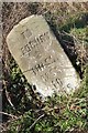 Old Milestone by the A449, Ross Road, Ludstock in HR8 2LF