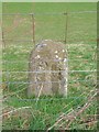 Old Milestone by the A72, northeast of Skirling in ML12 6HD