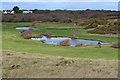 Ponds on the golf course, Barton on Sea in BH25 7FD