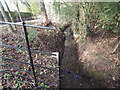 Ditch beside Chequers Lane in IP25 7EL