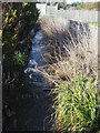 Stream that flows under road in IP25 7JN