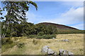 View towards Tap o'Noth... in AB54 4HH