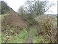 Bridleway west of Wheddon Cross in TA24 7EZ
