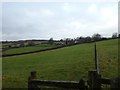 Fields west of Wheddon Cross and farm at Little Quarme in TA24 7EZ