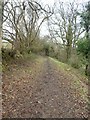 Bridleway above River Quarme in TA24 7EZ