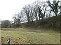 Steep slope above former pits, east of Luckwell Bridge in TA24 7EZ