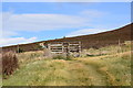Deer fence and gate on the path to Tap o'Noth in AB54 4HG
