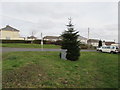 Is this the village Christmas tree? Penybryn near Gelligaer in Gelligaer Community