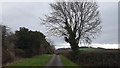 A tree by Stone Lane in HR3 6AX