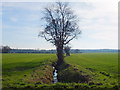 Drainage Ditch South of New Lane, Croft in Croft (Warrington)