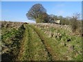 Track approaching Downs Barn in GL54 4EA