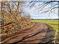 Track near Portlane Brook Bridge in TW13 6ST