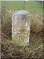 Old Milestone by the A30, near Darfield Farm, Broughton parish in SO20 8DP