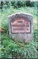 Old Milestone by the A525, Llysfasi College, Llanfair D.C. parish in LL15 2SP