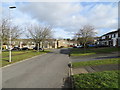 Ridmires Close at Ouston in Ouston (County Durham)