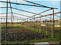 Allotments, Cuddington in HP18 0AQ