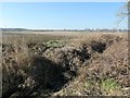 Drainage ditch, on the south side of the former mineral line in DN5 7UW