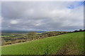 Chitcombe Down; the view we should have had in DT11 0EW