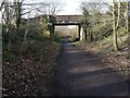 Bridge over Deerness Valley Railway Path near Broompark in DH7 8LQ