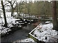 Footbridge in Allerwash Mill wood in NE47 5AG