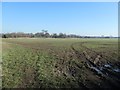 Farmland south of Radcliffe Moat in DN5 9DP