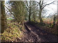 Footpath between Roscoe House and Fishers Farm in PR7 5LD