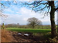 Field between Delph Lane and the railway in PR7 5LD