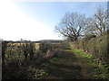 Bridleway to Wheldrake in YO41 4BE