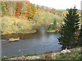 River Clyde and the Mouse Water at Kirkfieldbank in ML11 9JL