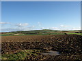 Ploughed Field in ML11 9UT