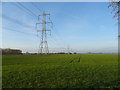 Flat farmland and power lines, Broomfleet in HU15 1RQ