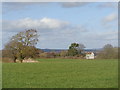 Fields near Tardebigge Farm in B60 4EY