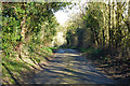 Lane from Barwick to Puckeridge in SG11 1PR