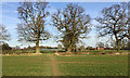Hedgerow oaks and farm buildings, Beausale in CV35 7HF