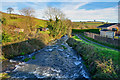 North Molton : River Mole in EX36 3JE
