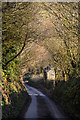 North Devon : Bendle Lane in EX36 3JE