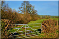 North Devon : Grassy Field & Gate in EX36 3JR