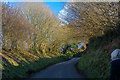 North Devon : Bendle Lane in EX36 3JR