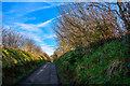 North Devon : Country Lane in EX36 3LY