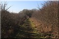 Footpath in Barnbow Woods in LS15 8AD