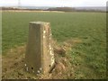 Trig Point at Fixby Ridge in HD2 2EG