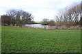 Pond north of Wesham Grange in PR4 3JN