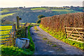 North Devon : Track in EX36 3LY