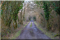 North Devon : Track in EX36 3QX