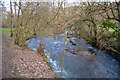 North Devon : River Mole in EX36 3HG