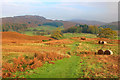 Track to Cockenskell in Blawith and Subberthwaite